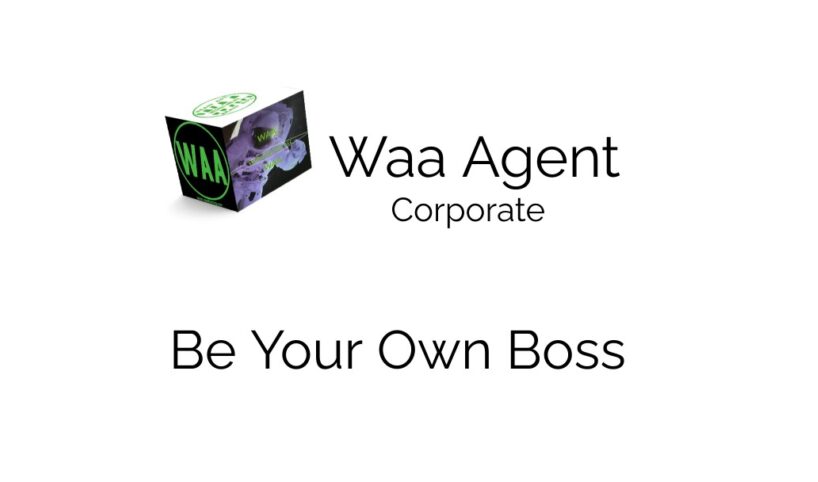 Web Portfolio – Waa Design Studio